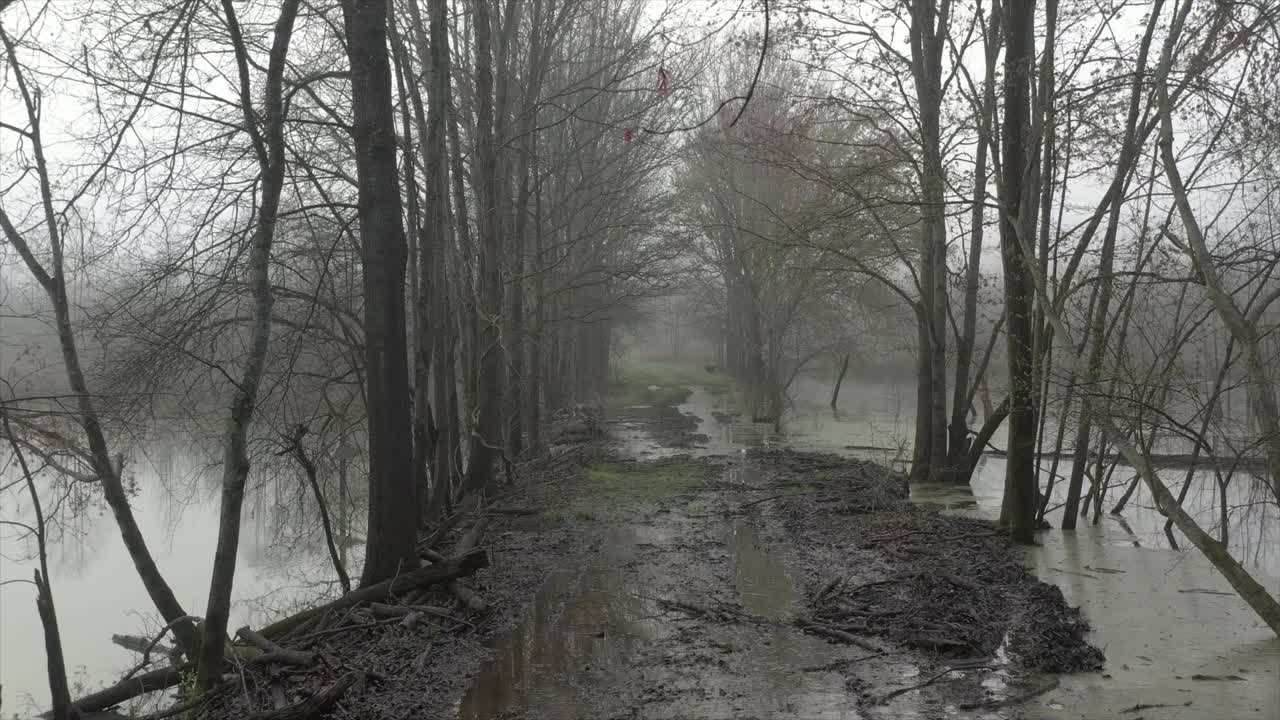 在一场严重风暴后的大雾中，农场被淹的道路视频素材