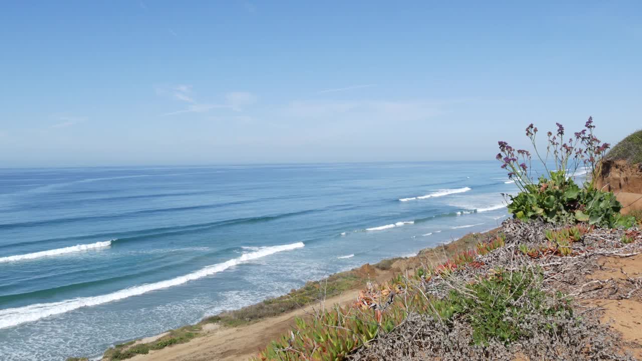 海景观景台，德尔马Torrey松树，美国加州海岸。海潮，碧波远眺视频素材