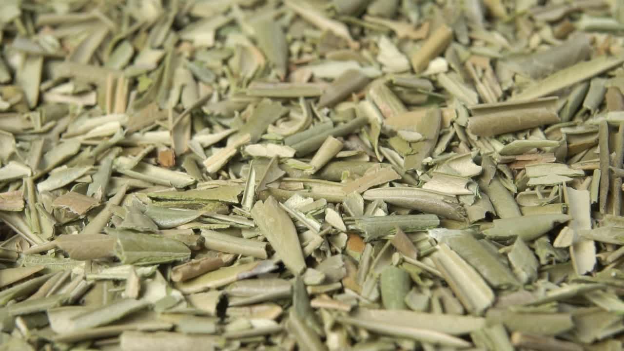 干橄榄叶健康天然药用茶视频素材