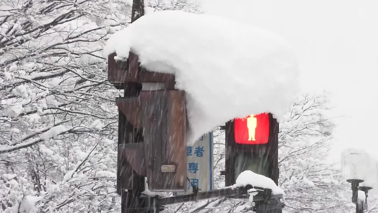 大雪中的交通信号灯，富山，日本视频素材