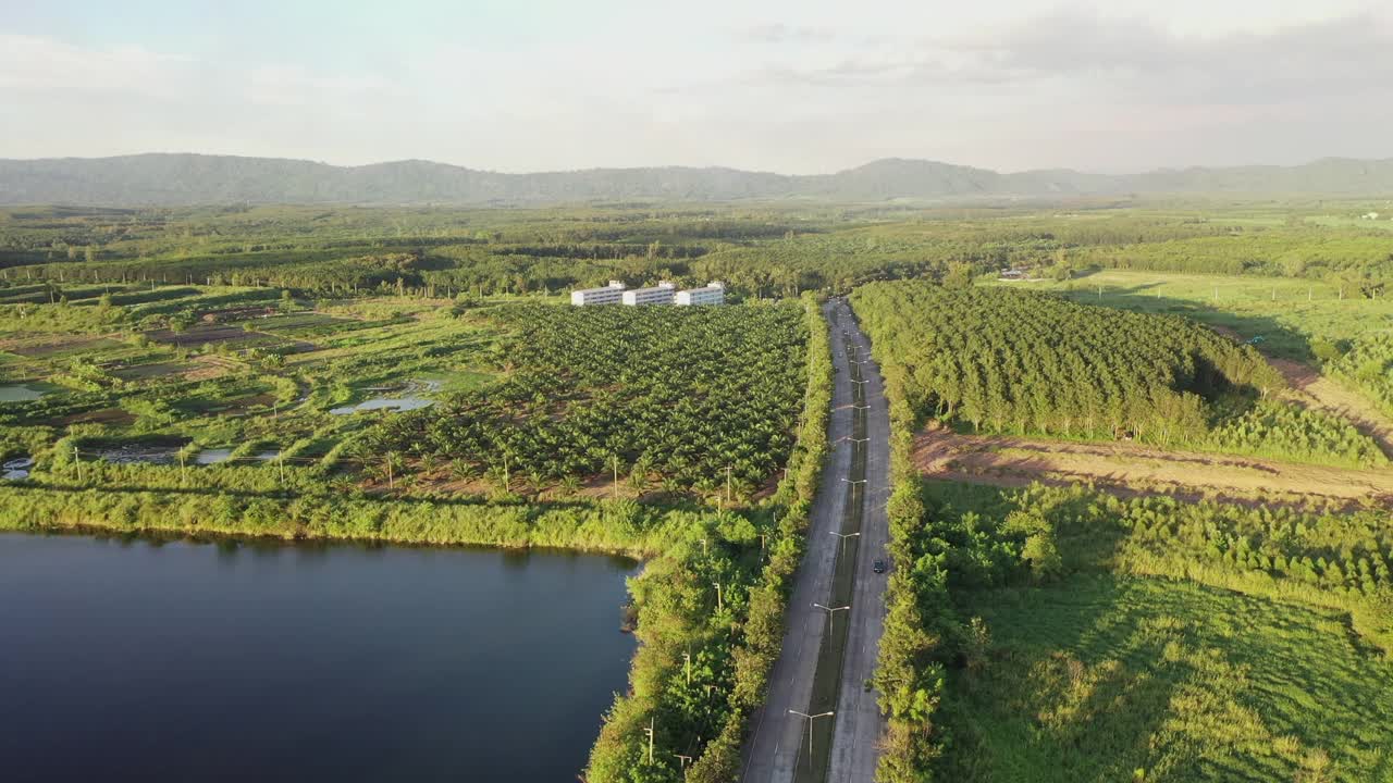 空中鸟瞰森林中的山路，公路穿越一片森林视频素材