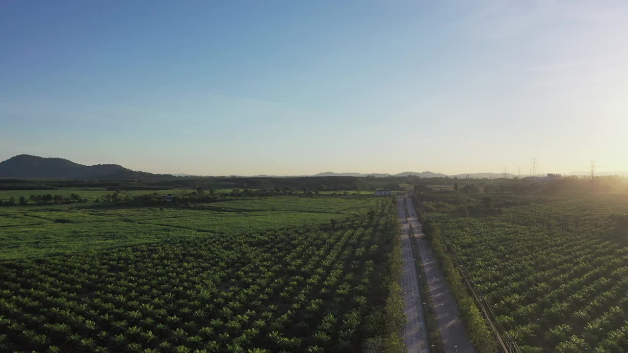 空中鸟瞰森林中的山路，公路穿越一片森林视频素材