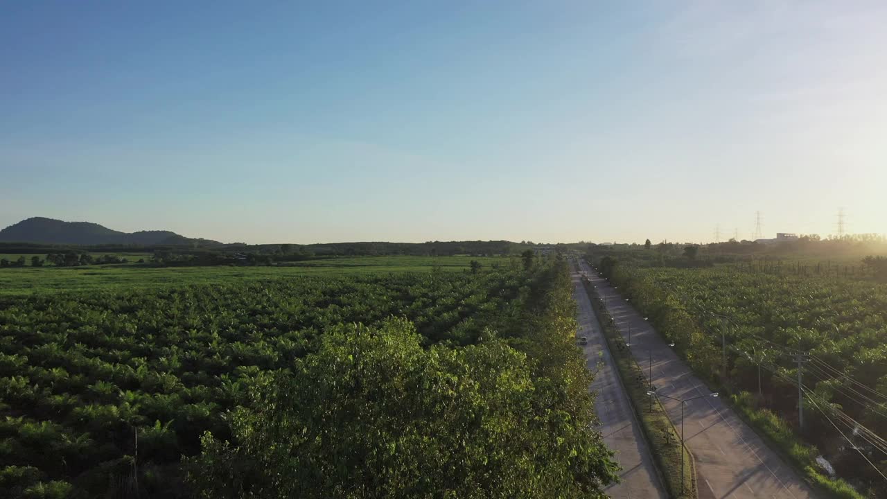 空中鸟瞰森林中的山路，公路穿越一片森林视频素材