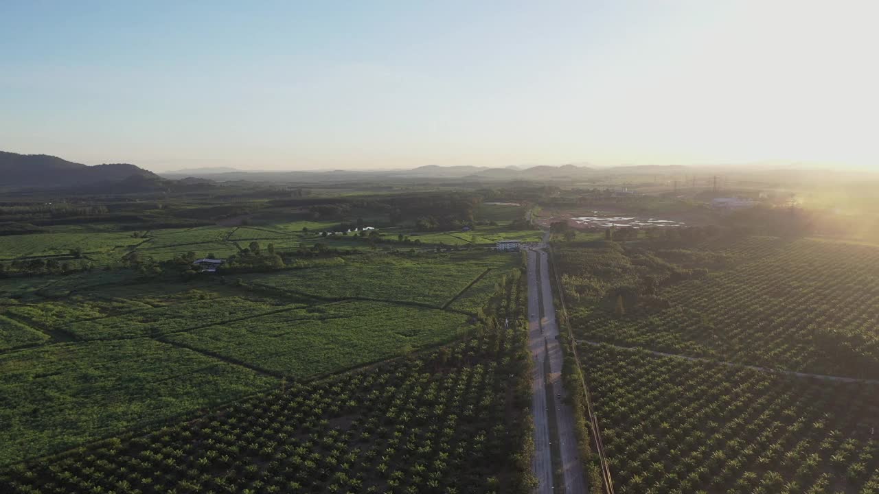 空中鸟瞰森林中的山路，公路穿越一片森林视频素材