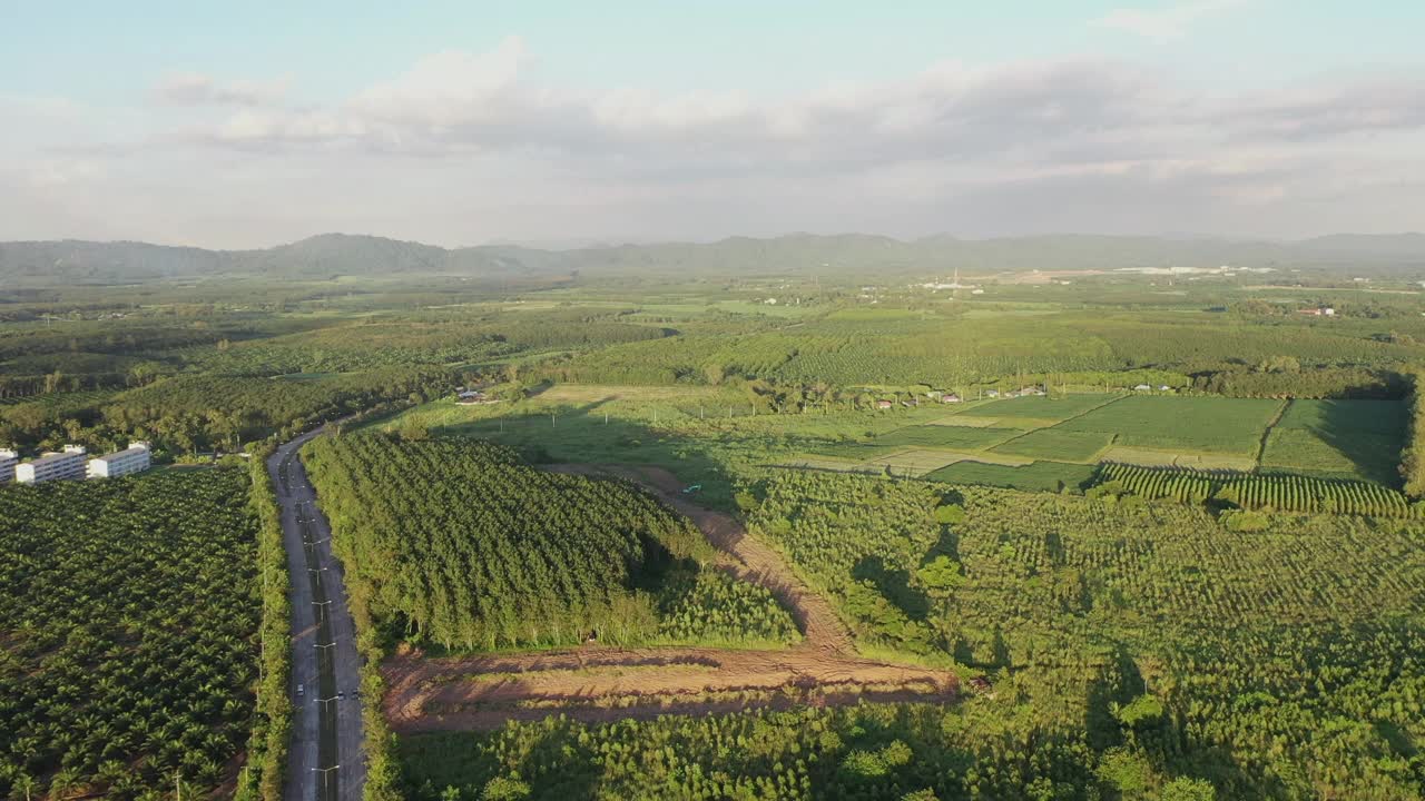 空中鸟瞰森林中的山路，公路穿越一片森林视频素材