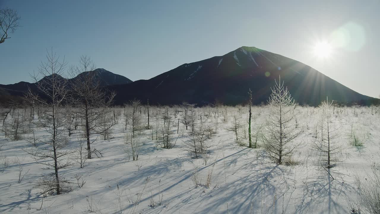 沙约伽原在白霜上闪耀视频素材