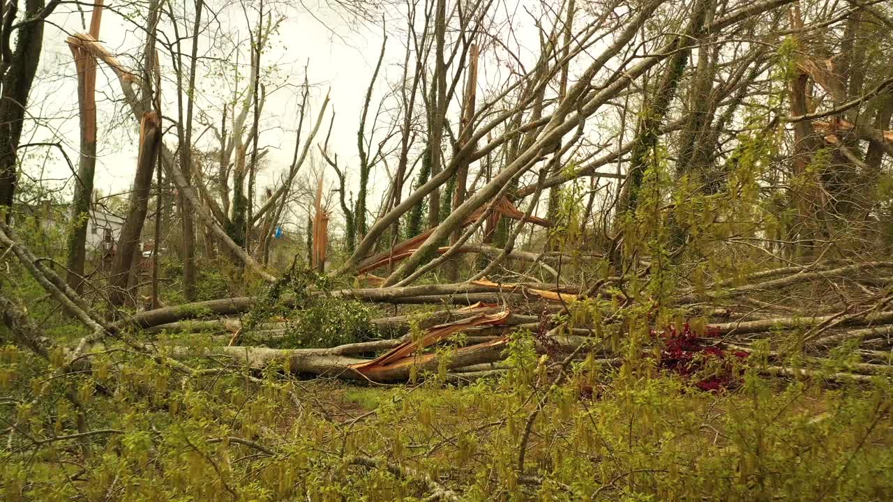 乔治亚州纽南市遭受龙卷风风暴的破坏和极端天气视频素材