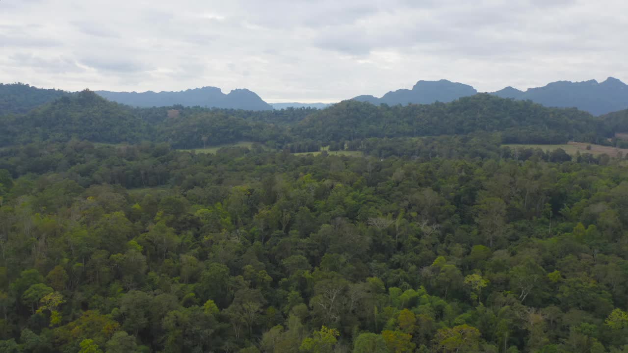 鸟瞰图的森林树木和绿色的山小山。自然景观背景，泰国。视频素材