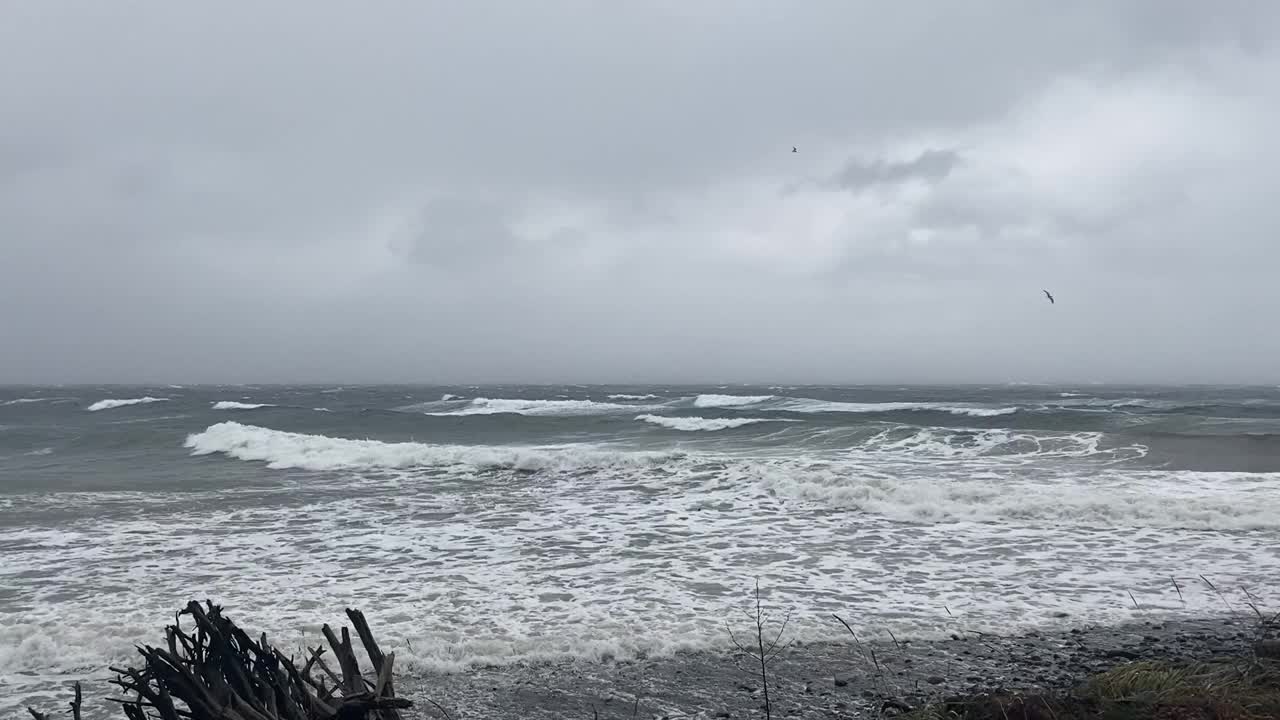 暴风雨天气。涨潮了。视频素材