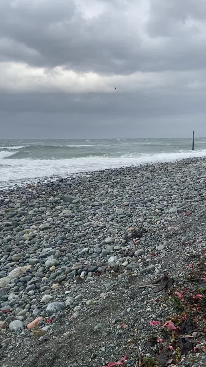 暴风雨天气。涨潮了。视频素材