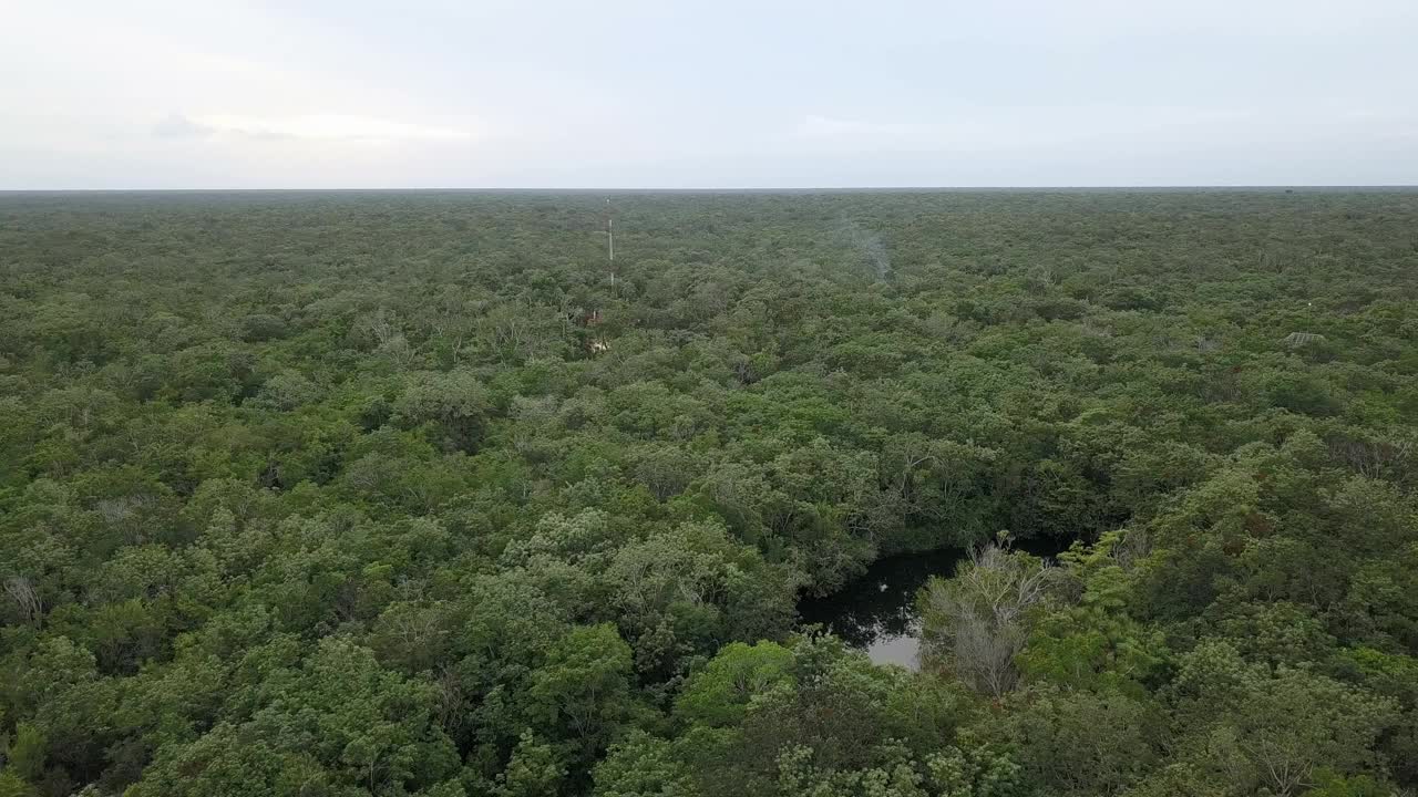 头顶拍摄的荒野区域环境清晰的水下洞穴。视频素材