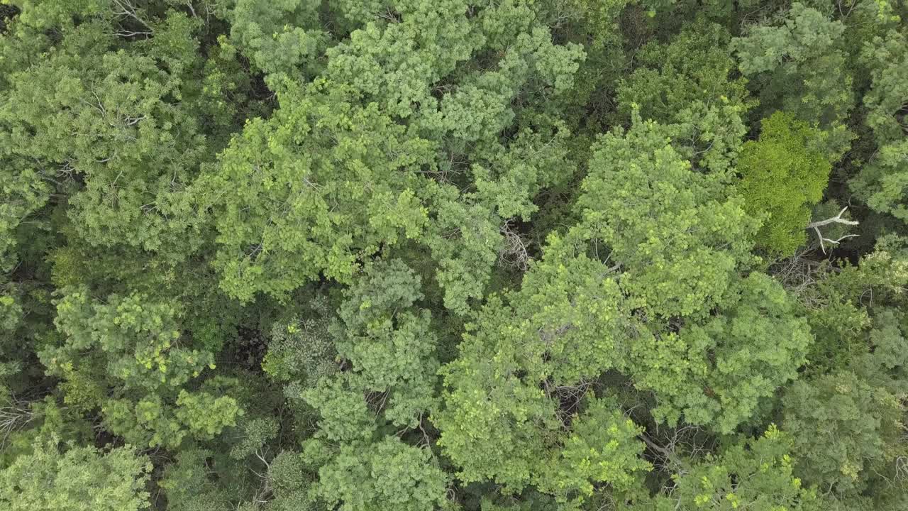 鸟瞰图景观美丽的天井天坑。视频素材