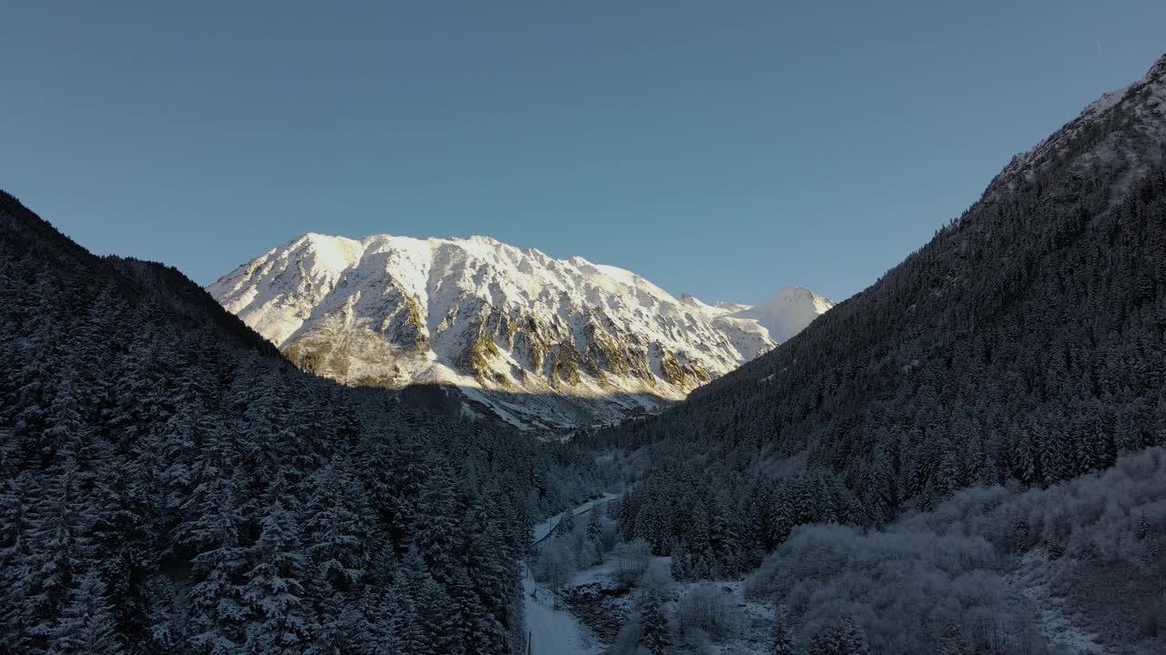 雪覆盖的森林视频素材