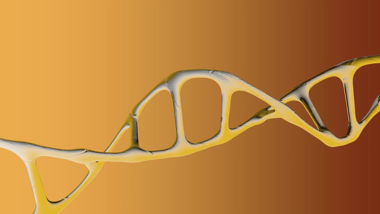 染色体的DNA。视频素材