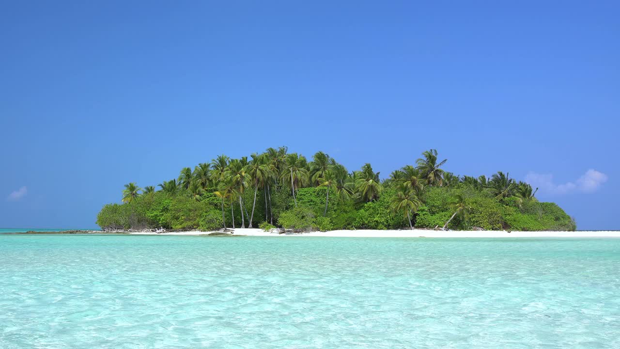 整个热带岛屿和棕榈树在野生海洋。旅游目的地视频素材