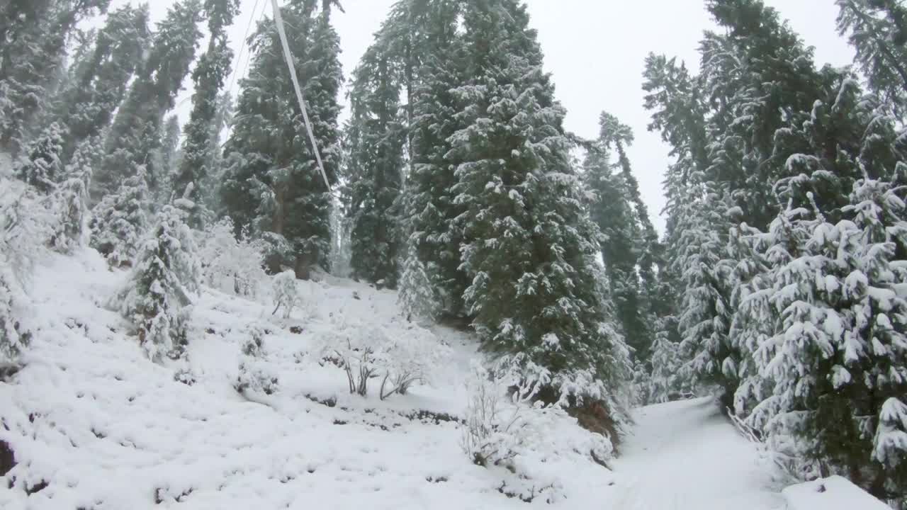 印度喜马偕尔邦的马纳里，降雪期间森林被雪覆盖视频素材