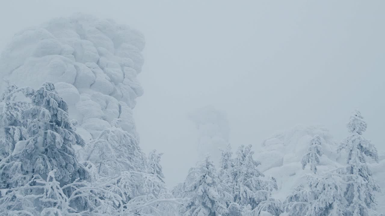 白雪覆盖的悬崖耸立在冰冻的森林之上。缓慢的风吹着霜冻的树枝。征服高峰，在冬天攀登。寒冷的薄雾笼罩着山顶视频素材