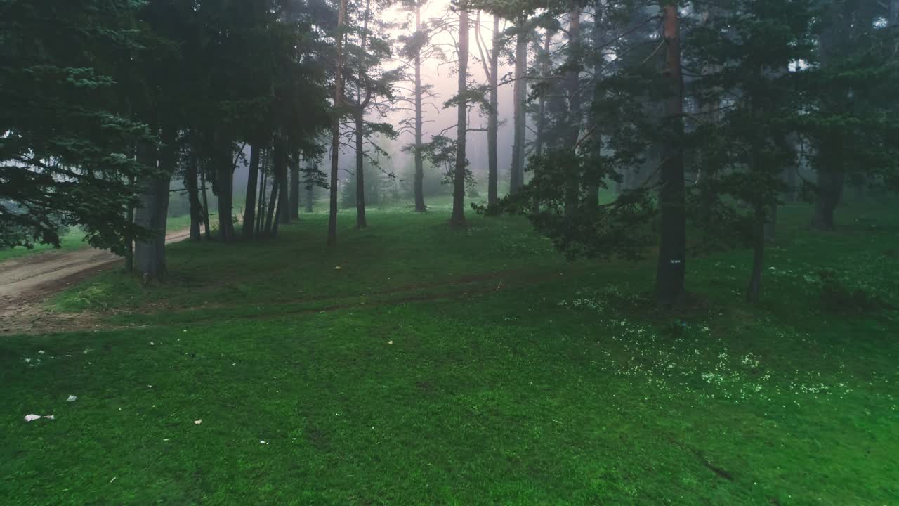 山景，日出在森林和绿色的田野，空中4k视频视频素材