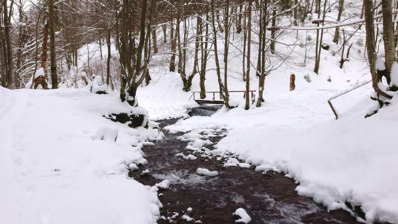 在喀尔巴阡山脉的森林山谷中，一座横跨山间溪流的木桥视频素材