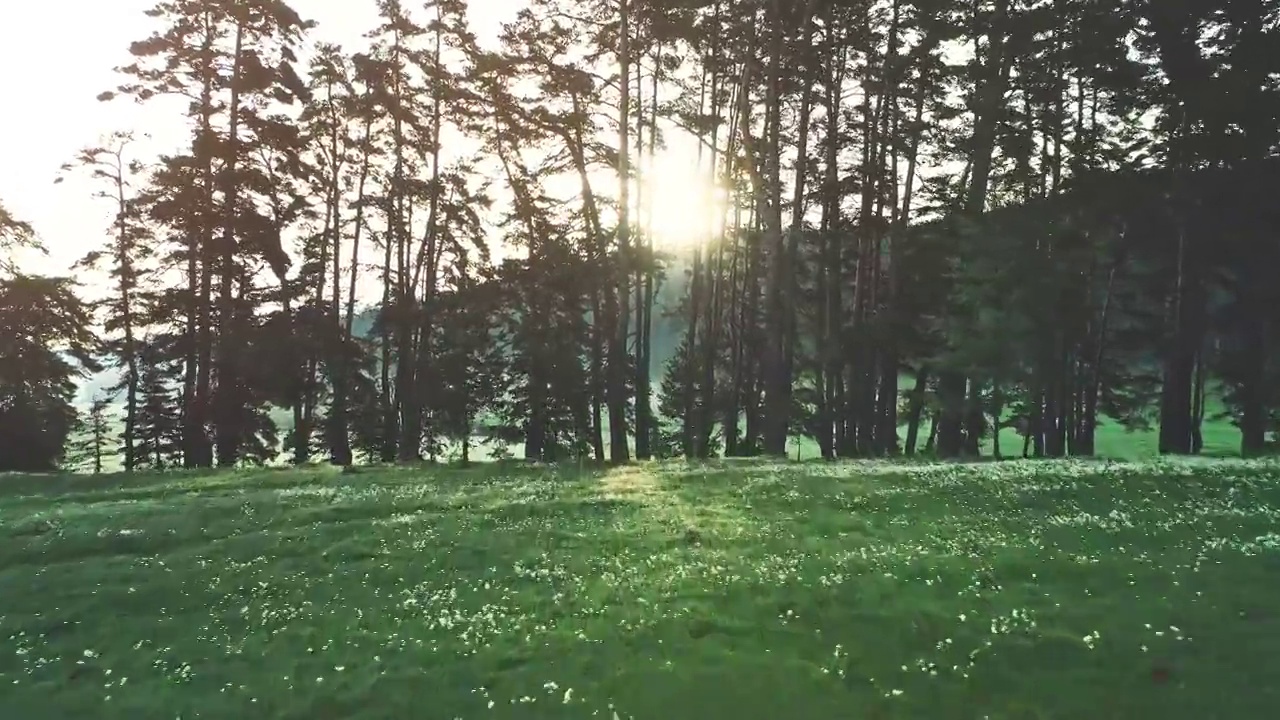 山景，日出在森林和绿色的田野，空中4k视频视频素材