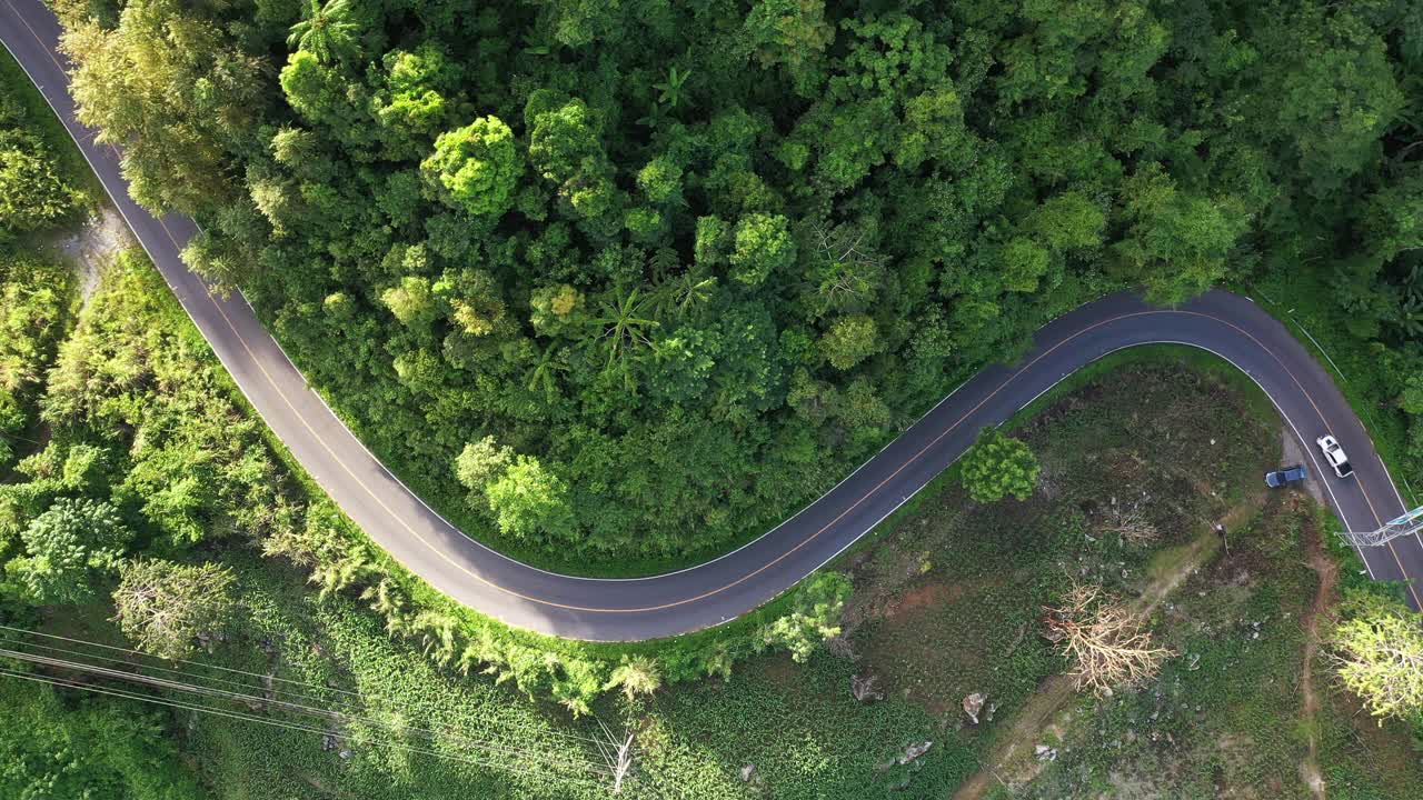 公路旅行通过森林-空中的观点视频素材