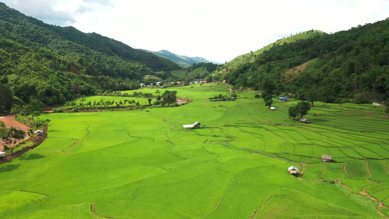 鸟瞰图稻田梯田全景山坡上种植水稻视频素材