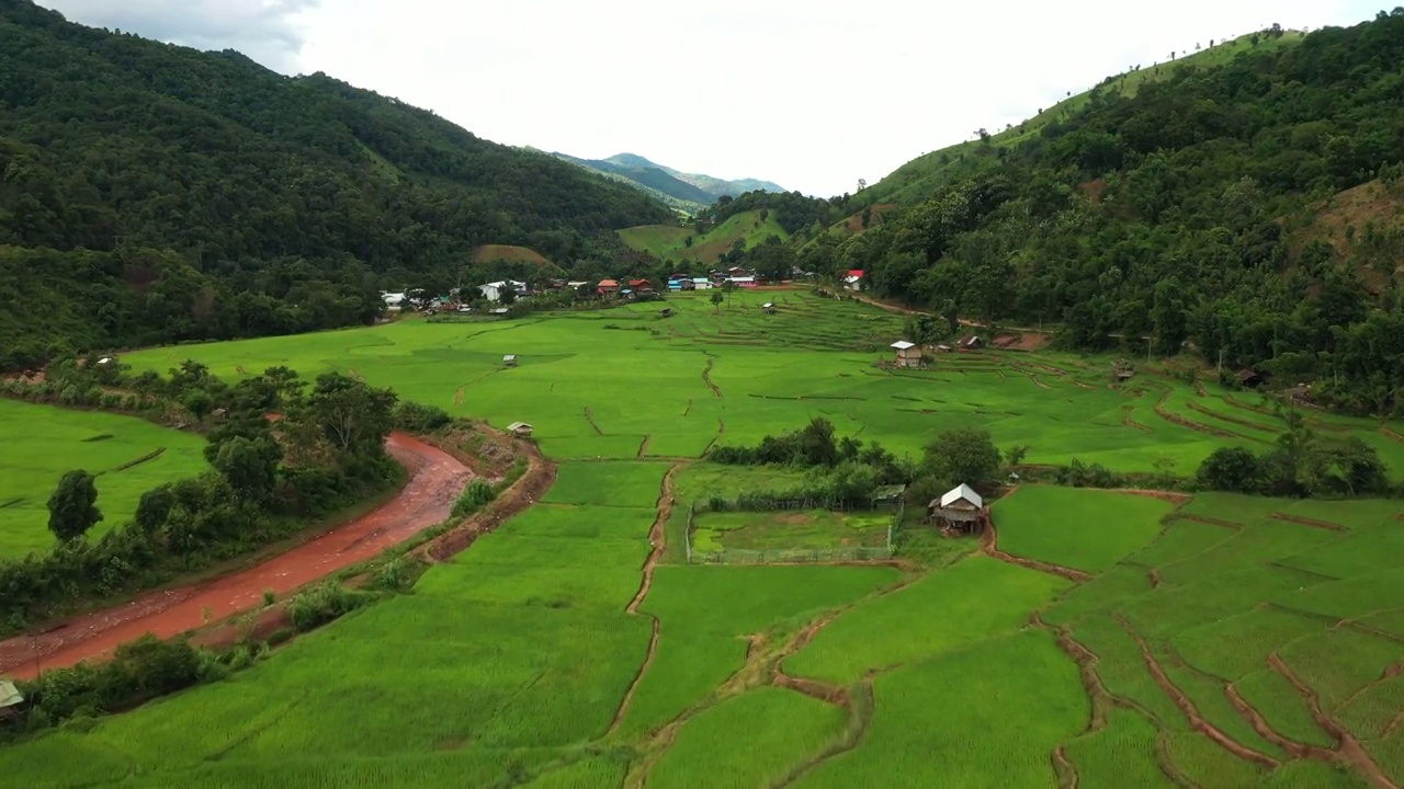 鸟瞰图稻田梯田全景山坡上种植水稻视频素材