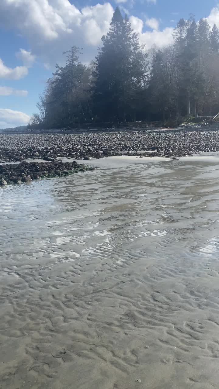 沙滩上的晴天视频素材