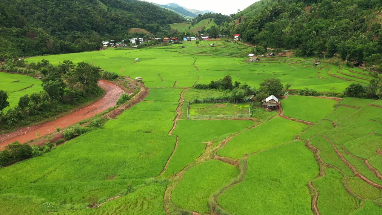 鸟瞰图稻田梯田全景山坡上种植水稻视频素材