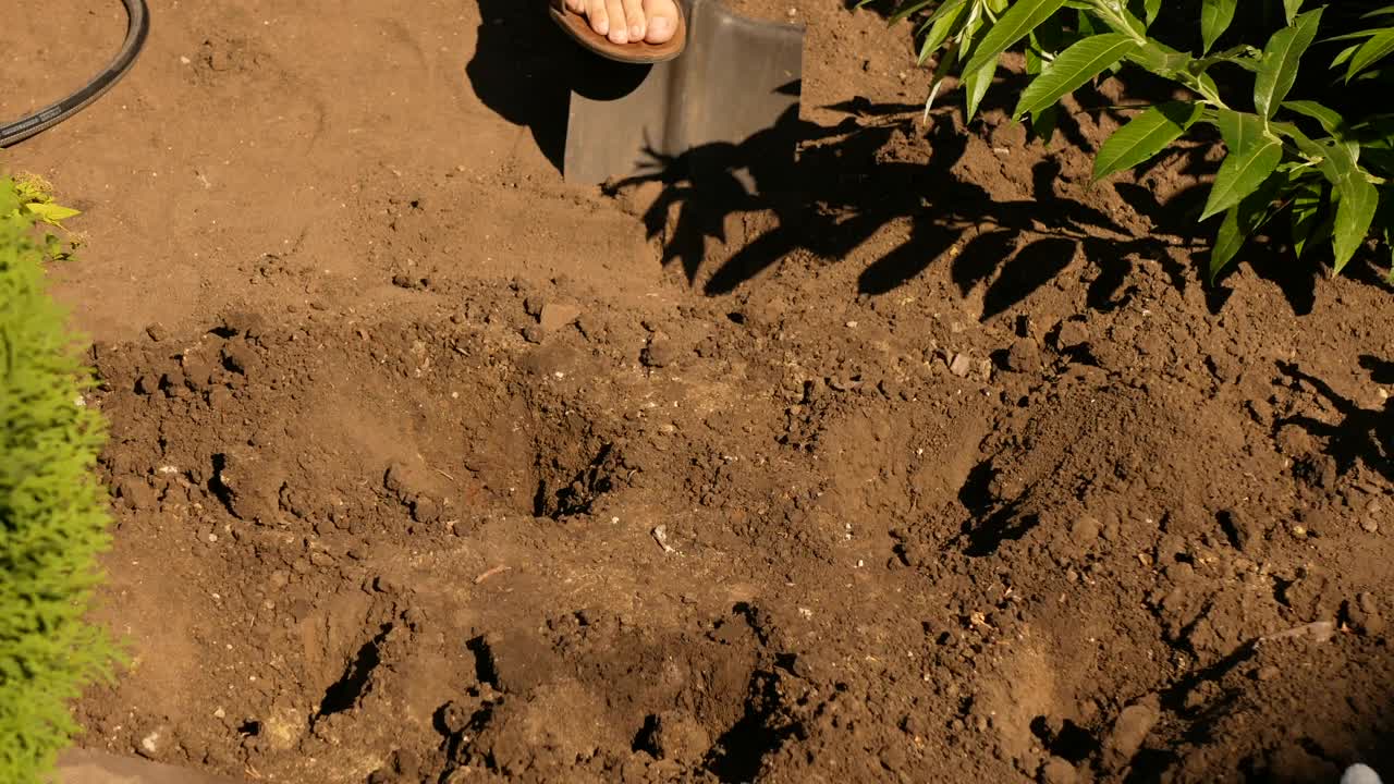 一个男人在花园里准备种植植物的土壤视频素材