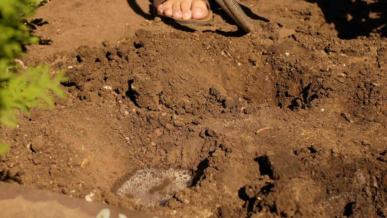 一个男人为在花园里种植植物准备土壤并浇水。视频素材