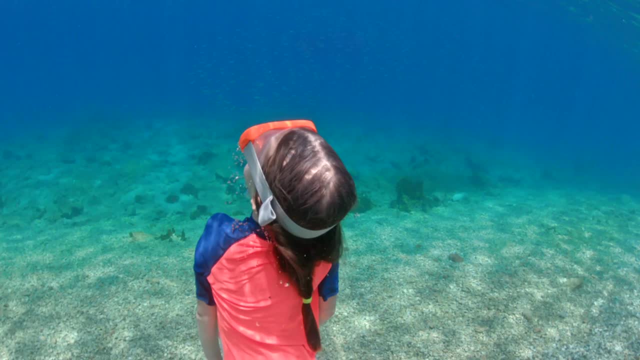 在地中海水下潜泳的女孩视频素材