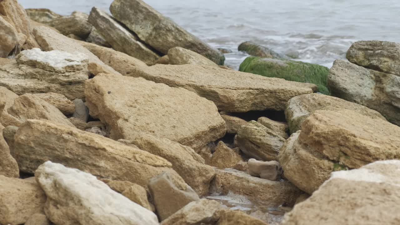 孤独的年轻人穿着牛仔裤和棕色的鞋子走在岩石海岸线上，同时自我隔离。视频素材