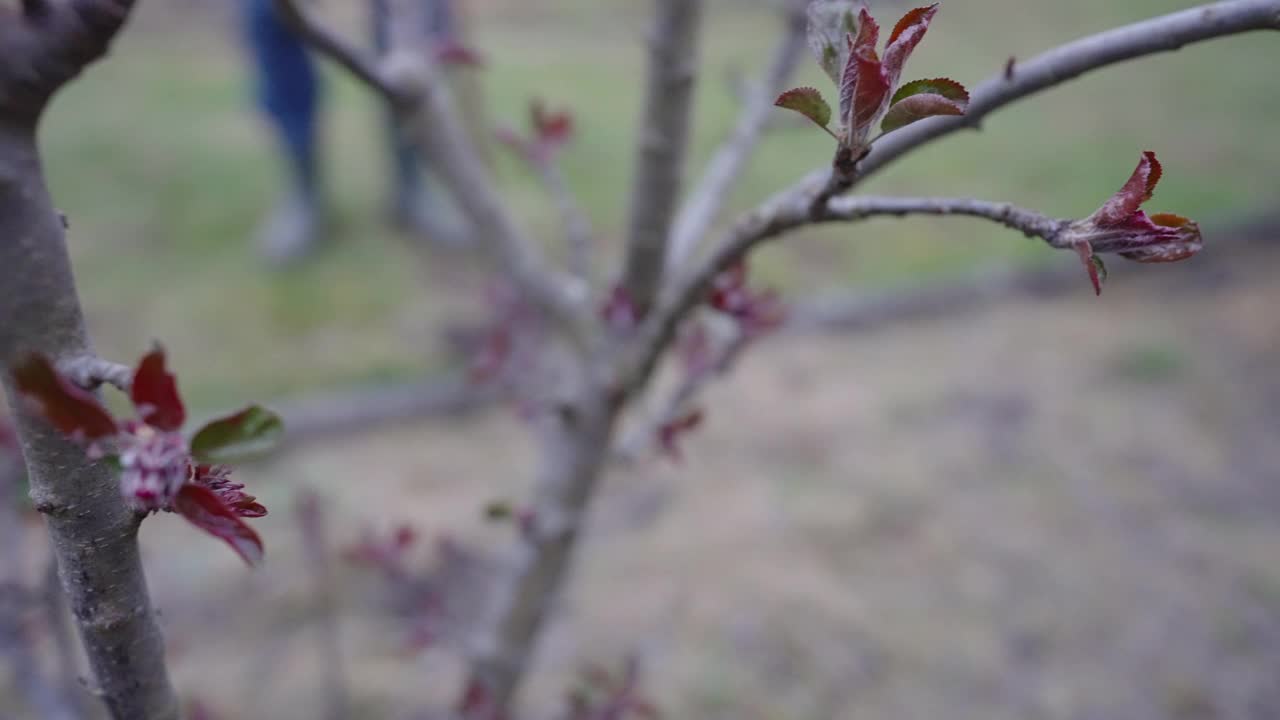 手动边视频素材