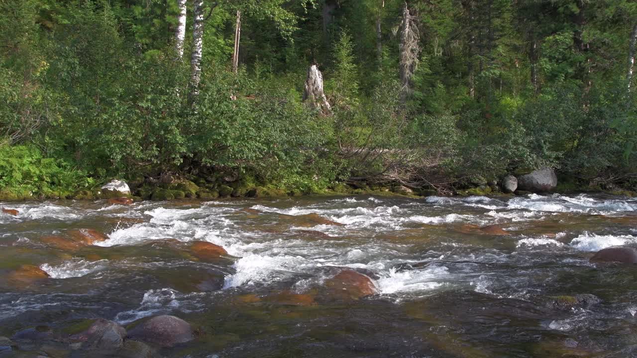 一条浅河沿着岩石河床流淌。岸上有树和绿草。水从山上的水库流过。水沸腾形成波浪。视频素材