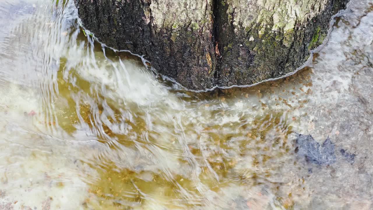 融雪绕着树干流淌，小溪在初春的日子里流过公园里的冰和泥土，映照着水坑里的树木，阳光明媚的一天视频素材