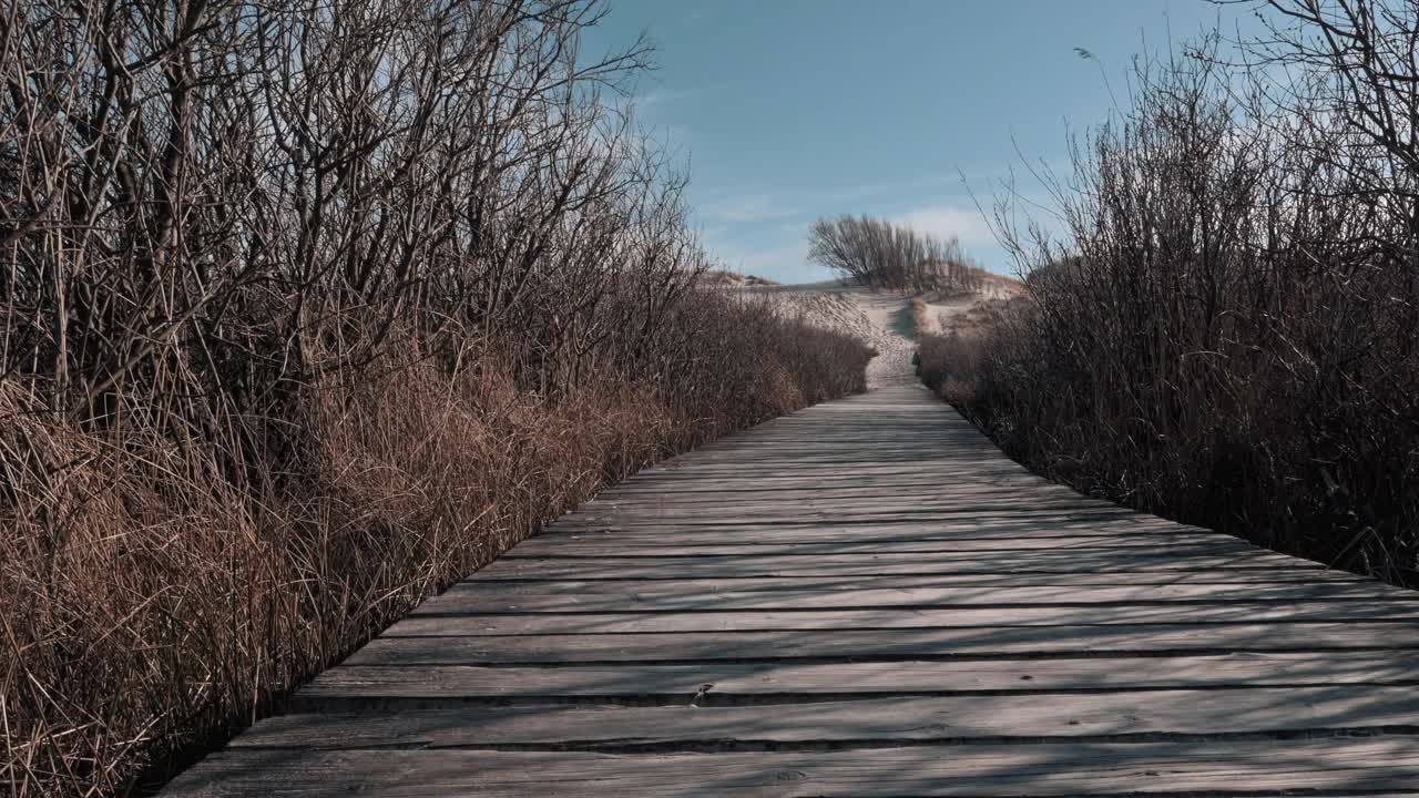 木板路视频素材