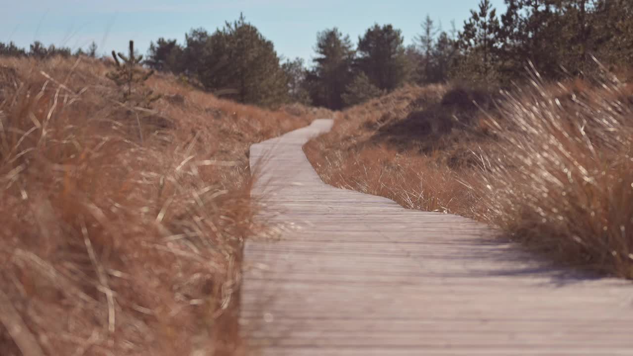 木板路视频素材