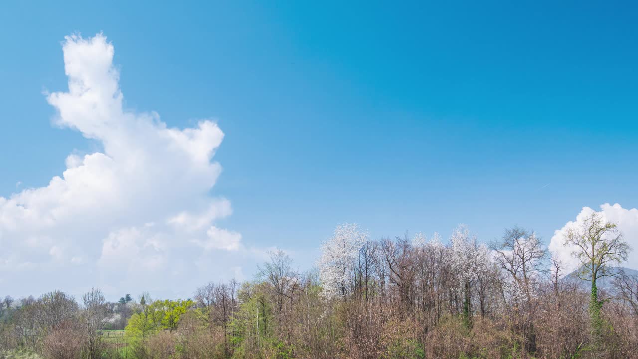 时间流逝:独特的风景全景高山绿草地移动的云蓝天开花的树木在春天的季节。视频素材