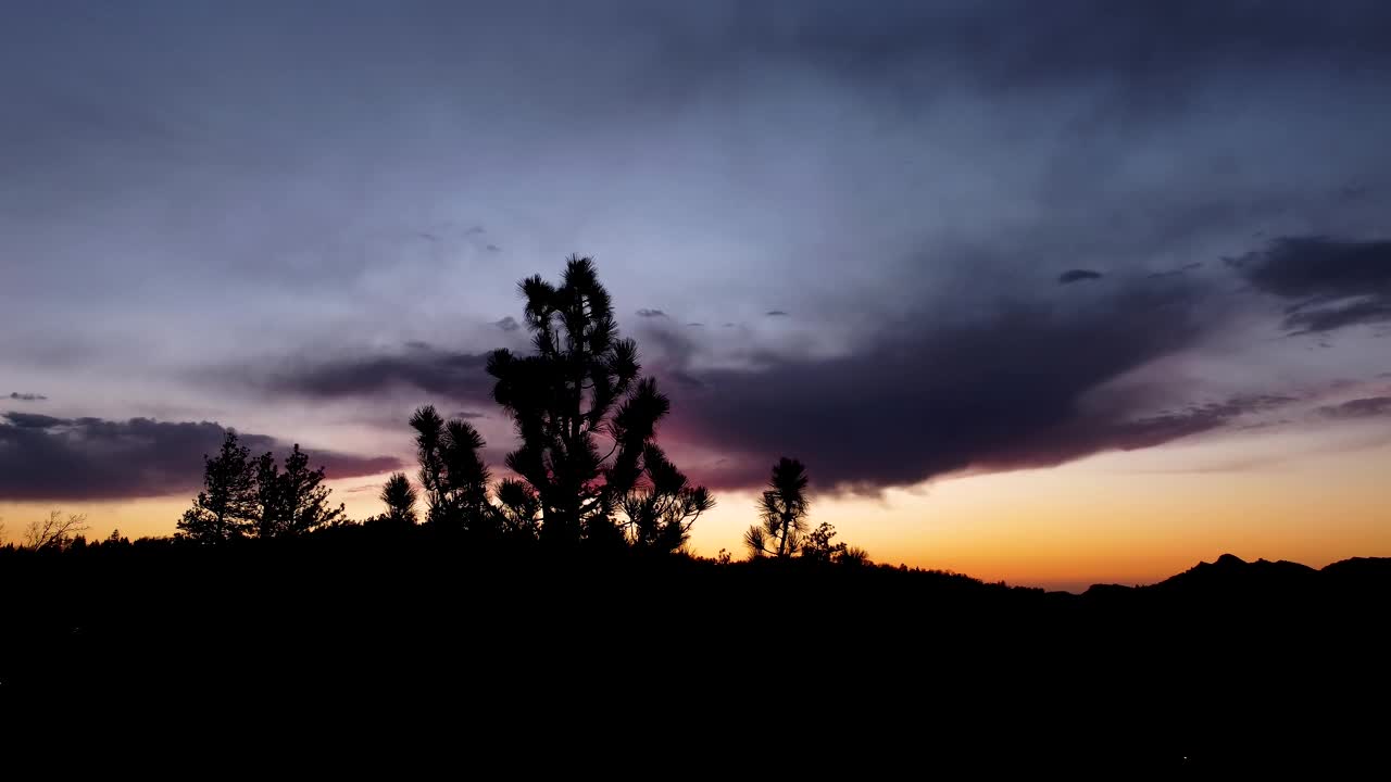 Pan Drone Shot Across剪影的树梢在日落与蓝黄橙天空视频下载