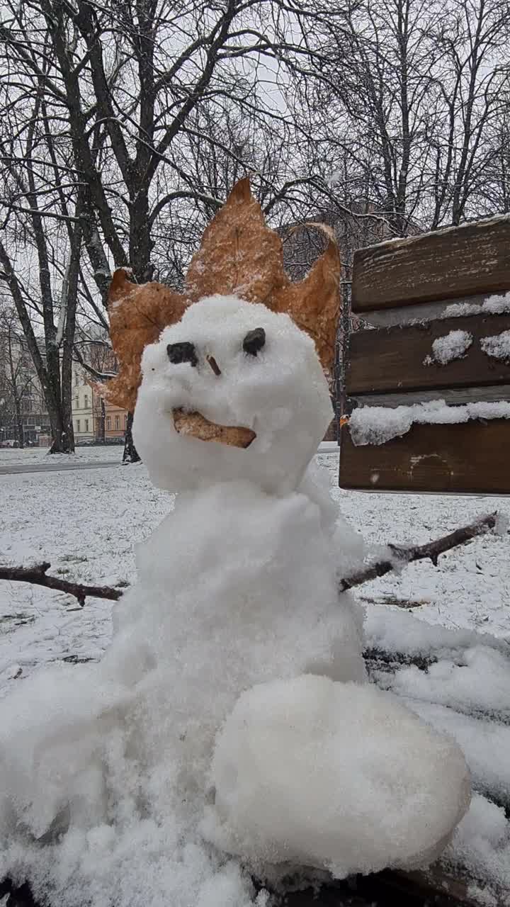 小的雪人视频素材