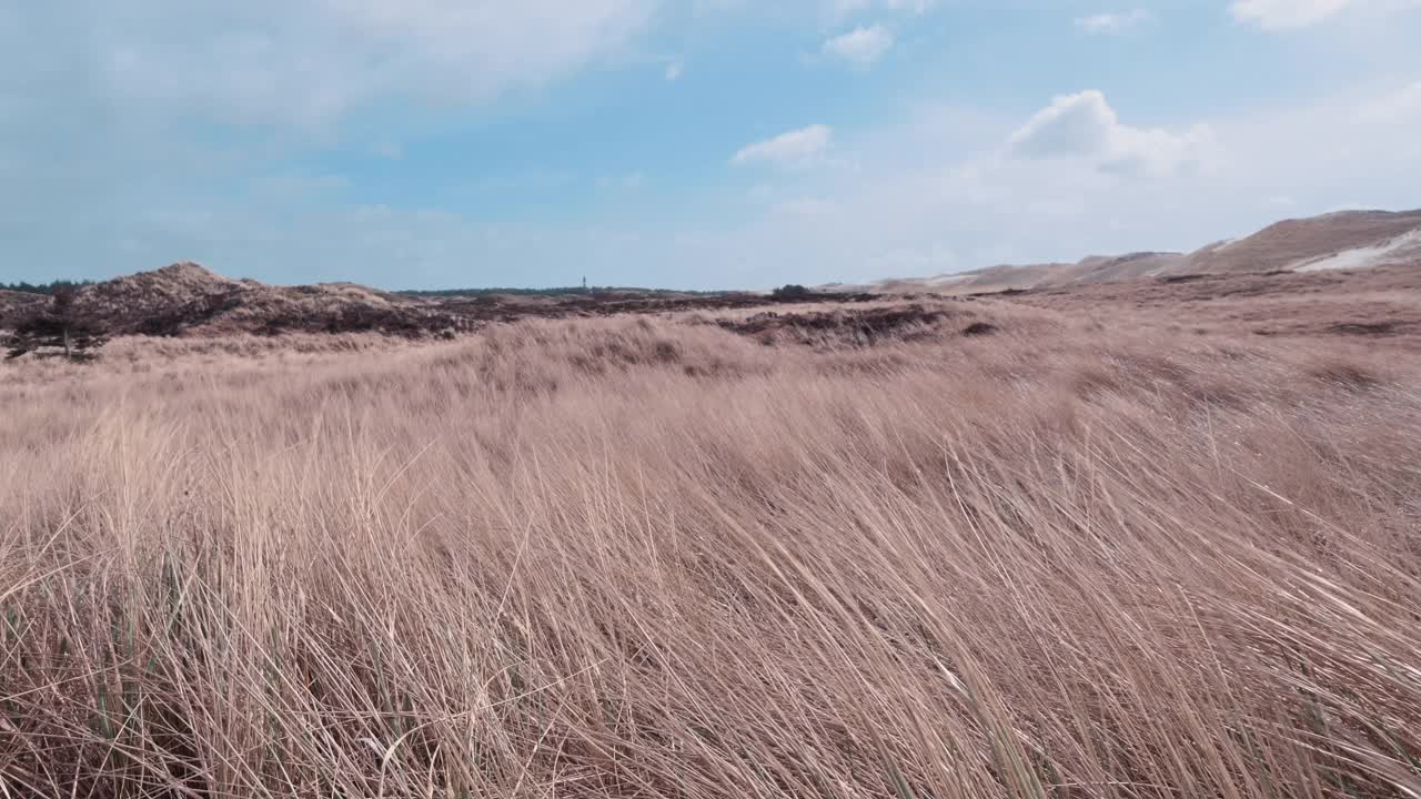 海岸景观在风中视频素材