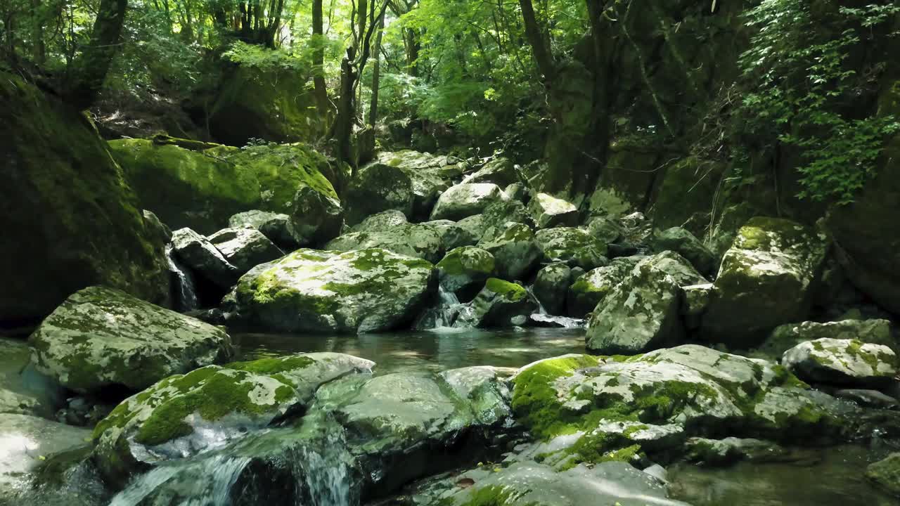 福冈县福冈市野口沟溪谷的清流视频下载