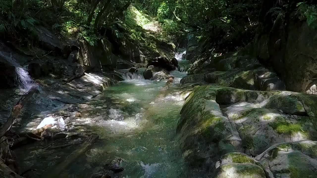 福冈县福冈市野口沟溪谷的清流视频下载