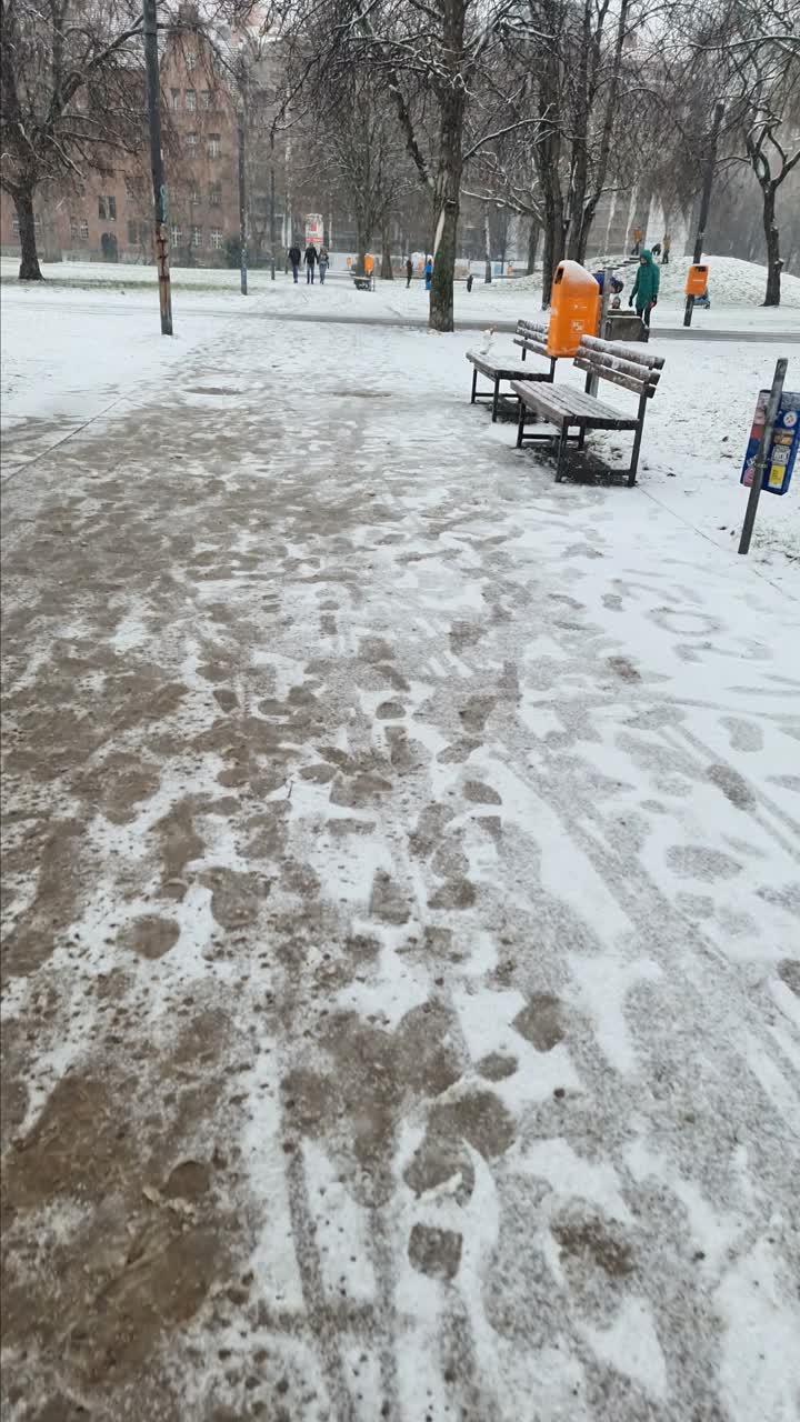 在雪地上行走视频素材