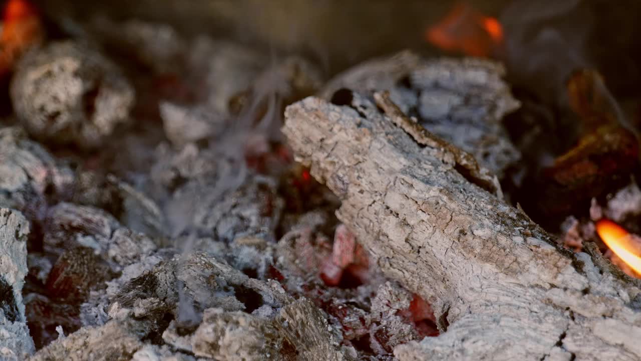 特写特写在垂直慢动作模式的户外烧烤火和肉类烧烤准备食物的家庭野餐日。视频下载