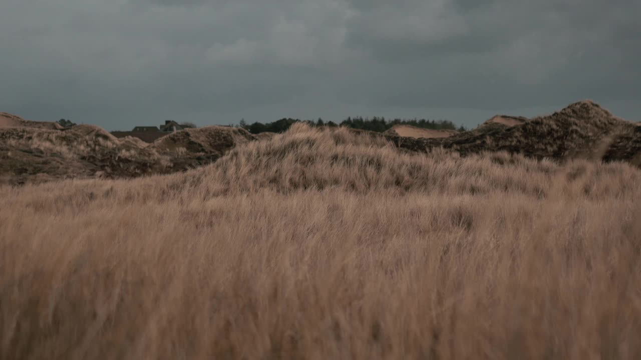 暴风雨中的沙丘，德国视频素材