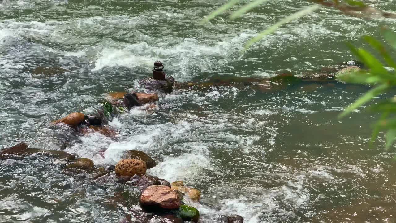 澳大利亚热带雨林中湍急的溪流和岩石视频素材