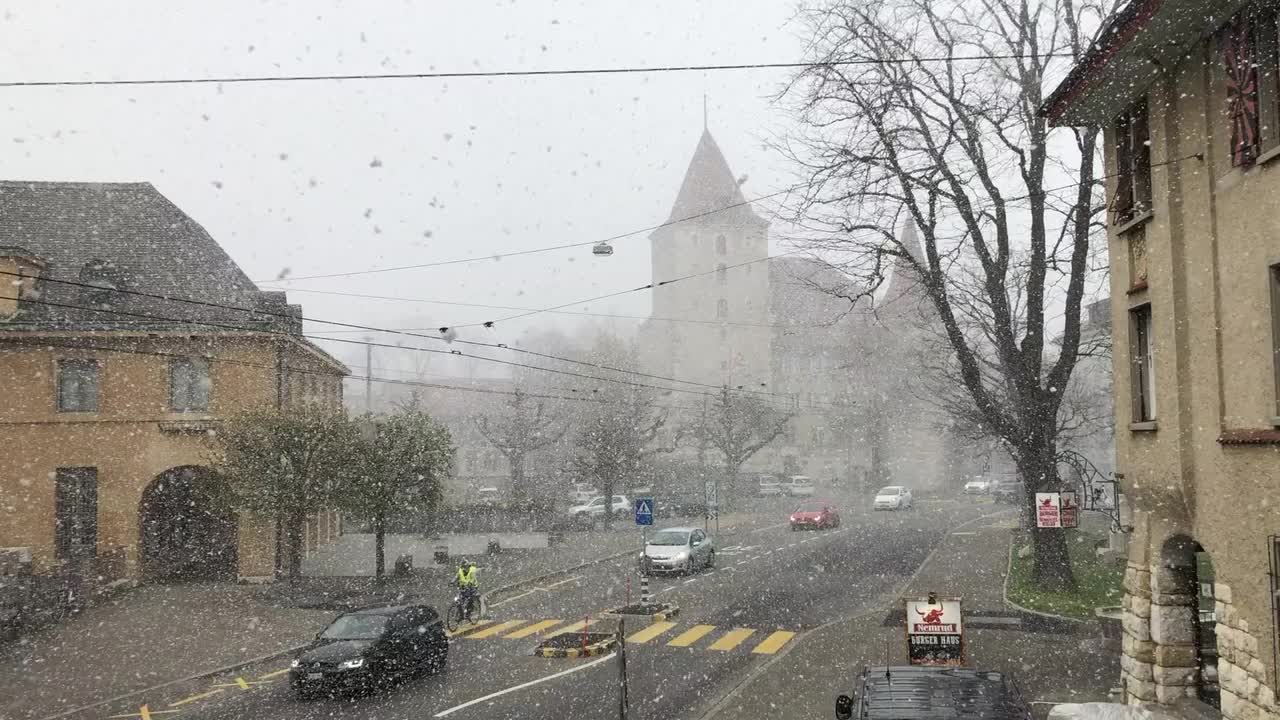 四月下雪视频素材