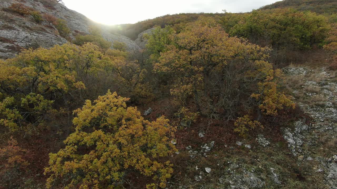 秋天的山地景观。飞越克里米亚落基山脉的植物。视频下载